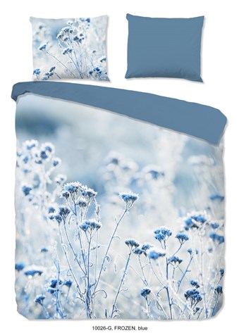10026 blauw